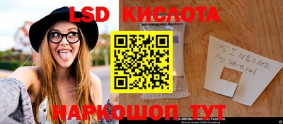 дживик Камышлов