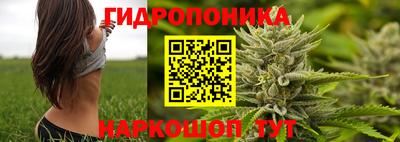 скорость Кандалакша