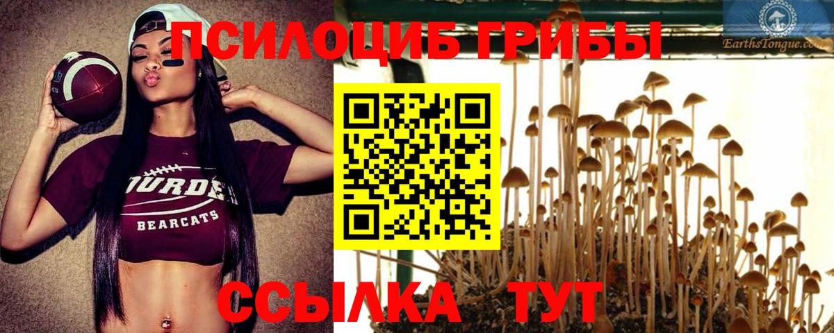 Галлюциногенные грибы Psilocybine cubensis Набережные Челны